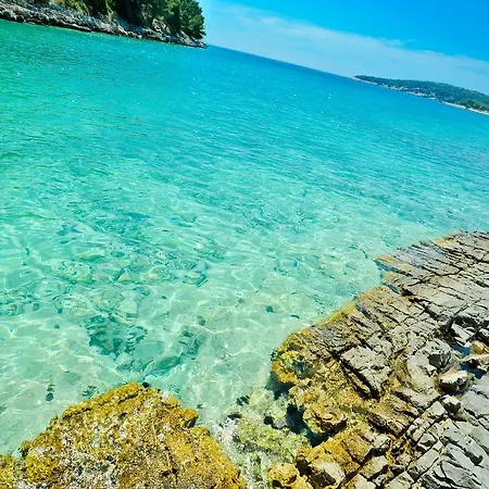 Secluded House With Seawater Pool Milna (Brac)