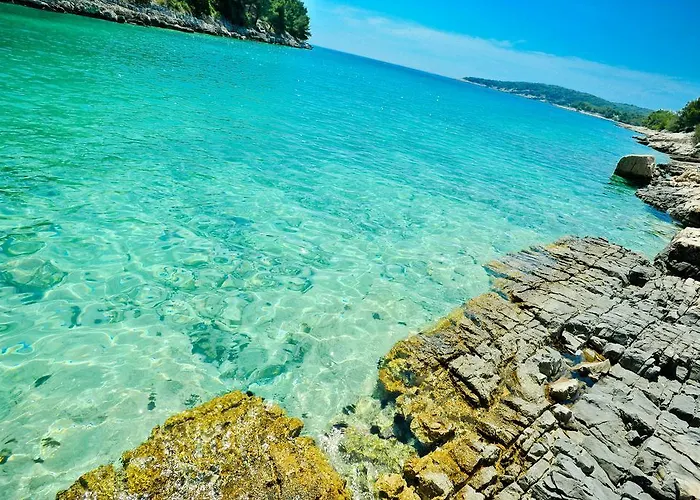 Secluded House With Seawater Pool Milna (Brac)